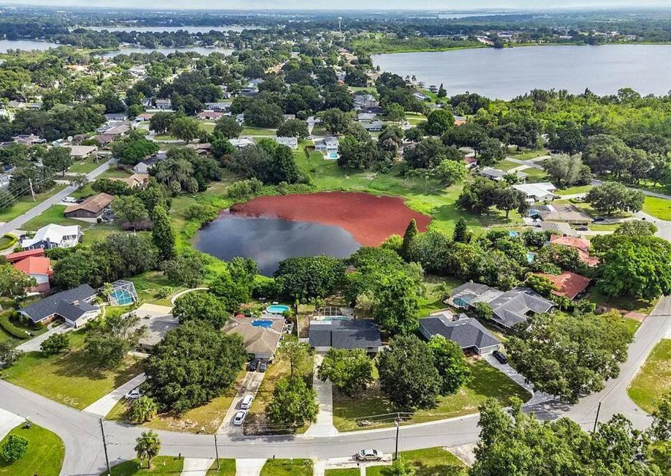 Cozy Lakefront Home W/ Pool -7 Mins From Legoland Winter Haven Extérieur photo